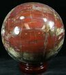Colorful Petrified Wood Sphere #26619-2